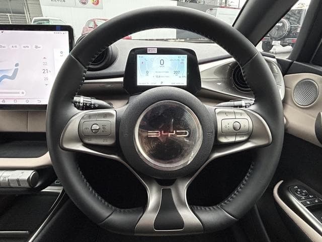 2025 BYD DOLPHIN White, 5,000 km, Japan export – photo 17