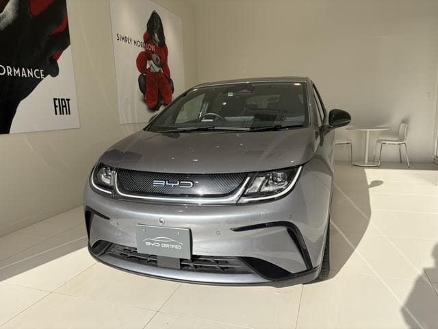 2025 BYD DOLPHIN Gray, 6,000 km, Japan export – photo 1