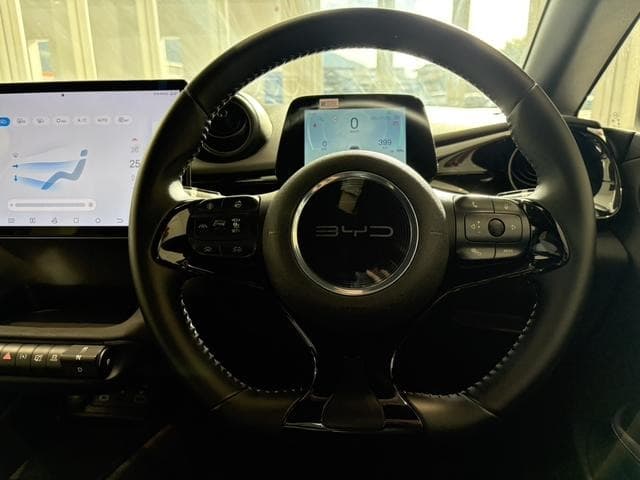 2025 BYD DOLPHIN Gray, 6,000 km, Japan export – photo 15