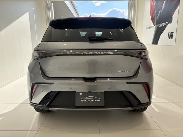2025 BYD DOLPHIN Gray, 6,000 km, Japan export – photo 5