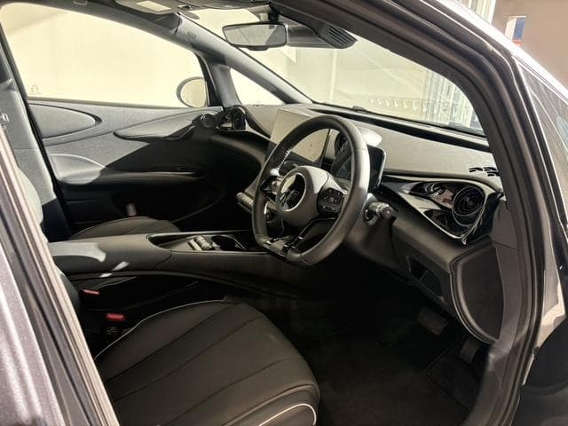 2025 BYD DOLPHIN Gray, 6,000 km, Japan export – photo 3