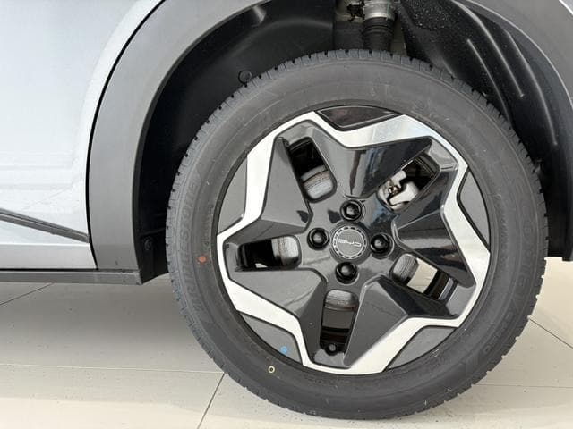 2025 BYD DOLPHIN Gray, 6,000 km, Japan export – photo 19