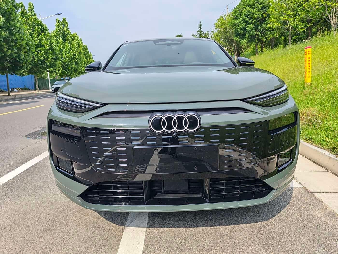 2025 Audi Q6L e-tron Green, 100 km, China export – photo 2