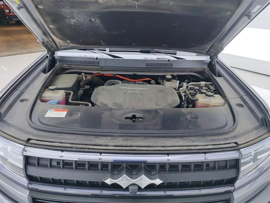 2025 Fang Cheng Bao Leopard 5 رمادي فضي, 32,900 km, China export – photo 10