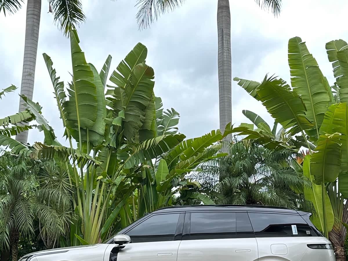 2025 Lynk & Co 900 Champagne, 24,900 km, China export – photo 7