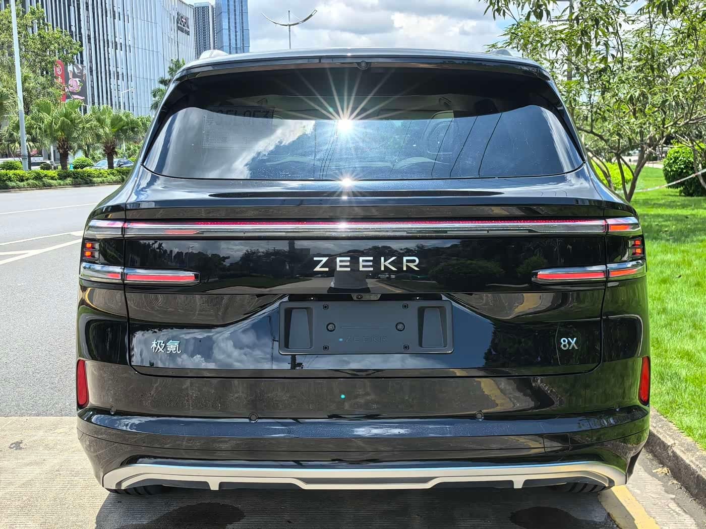 2026 Zeekr 8X Black, 100 km, China export – photo 11